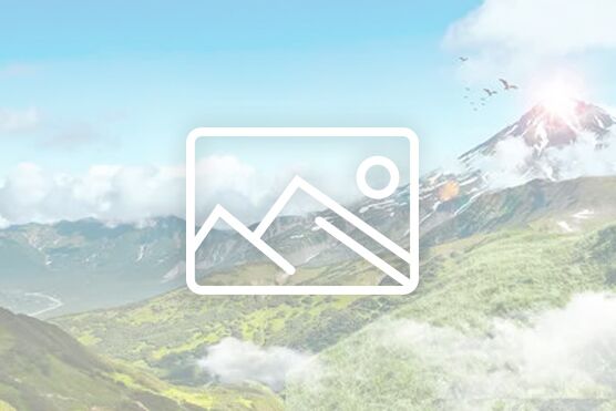 思政融育｜不止于一座基地：解锁 “铸魂育人”新密码